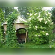 Юность. Сахно Константин Витальевич