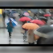 Я заблудился средь зонтов. Автор стихов: Константин Сахно