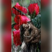 Разведённые аллеей Автор стихов Константин Сахно