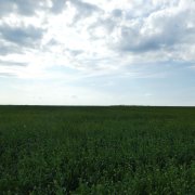 Великоросс -  Наша русская земля