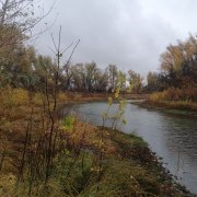 metalbolism - ветра гнев