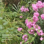 Боровик Сергей -За рамки ты перешёл