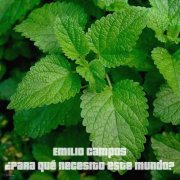 Emilio Campos - Para Qué Necesito este Mundo? (E-Cam Remix)