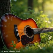 Пой, гитара