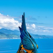 SoNata - Солнечный зайчик