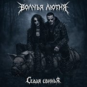 Волчья лютня-Седая свинья