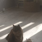 Артур SID Нестеровский - Детство