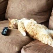 ANDR.DOG - Эх... Лень...