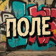 CatinKit-Поле  №2