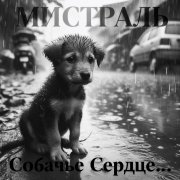 мистраль-Собачье сердце