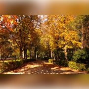 автор стихов: Константин Сахно - Осенний Парк