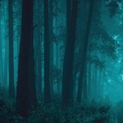 Patience and Prudence Tonight you belong to me (slow&reverb)