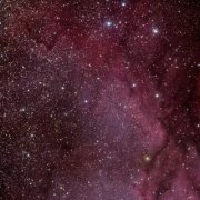 Учат в школе