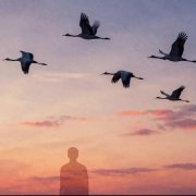 Игорь Бакань - Крик журавля