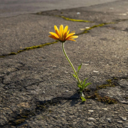 Автор Kety Fen ,SoundSeed - Сквозь бетон