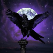 LexiFer - Many night