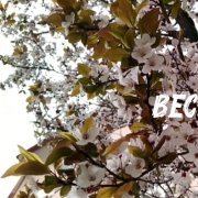 Эрте Наталья - Весна