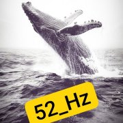 S52_Hz - Вольная