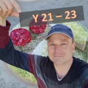 U wana dance!  Magnetic Cutoff