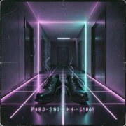 Zidozz - За мной шпионит моя обувь