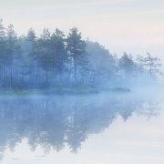 Там, где дышит тишина