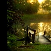 Серый - вечер, вечер, вечерочек