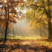 Эрте Наталья - Осень