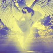 Серый - птичий полёт наш