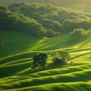 Aleks Botisov Мы не пацаны - фото