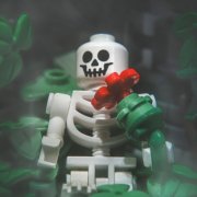 baher — та самая