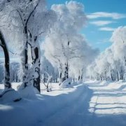Aleks Borisov Танец. снежинок - фото