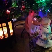 Андрей Святченко - С днем рождения, Новый год!