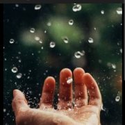 ANDR.DOG - Дождь на ладонях