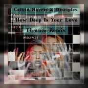 Calvin Harris & Disciples - How Deep Is Your Love(Tirance Remix)
