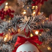 Лобач С. - Сорок лет как миг - фото