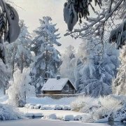 Svetlana K - Зимняя Сказка - фото