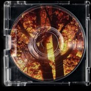 flip - fumes & fires