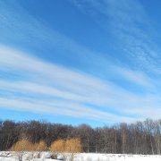 Aleks Borisov Весенняя печаль