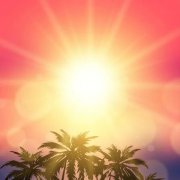 the sun