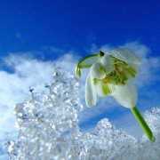 Андрей Семенов - Апрель