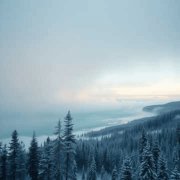 NeuroDan - Сибирь - фото