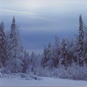 ДГД. Прости, обиду отпусти.