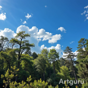 ANGELOVITCH - Melodia Atmosfera estiva