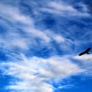 Atmic assistant - Reflection