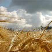 Сергей Сметанин - В пути