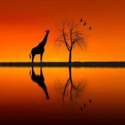 Великоросс - Памяти Н.С.Гумилёва