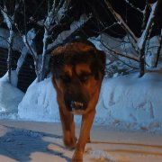 VASILAKIYВячеслав- Театр теней