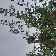 VASILAKIYВячеслав -Ода осени