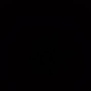 Стефан - Гроза