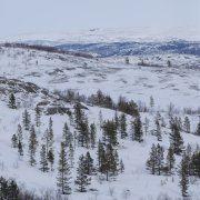 VASILAKIYВячеслав-Днюха